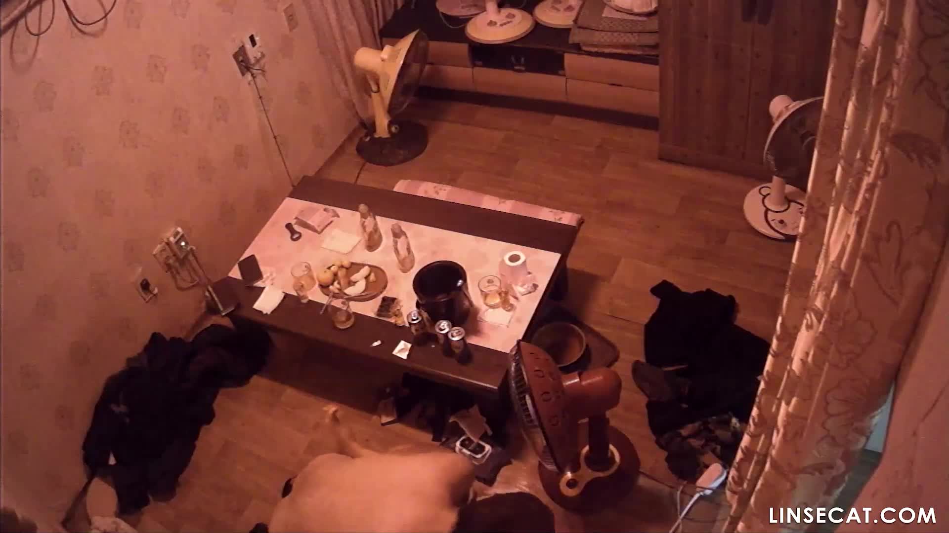 [신작] 네 명의 남자 손님이 술집에서 섹스를 합니다. 만약 여성이 섹스와 술을 좋아한다면, 그녀는 이 일을 아주 좋아할 것입니다. 아주 강렬한 섹스 말입니다. [해킹된 한국 술집 IP 카메라] [단독 영상] 썸네일